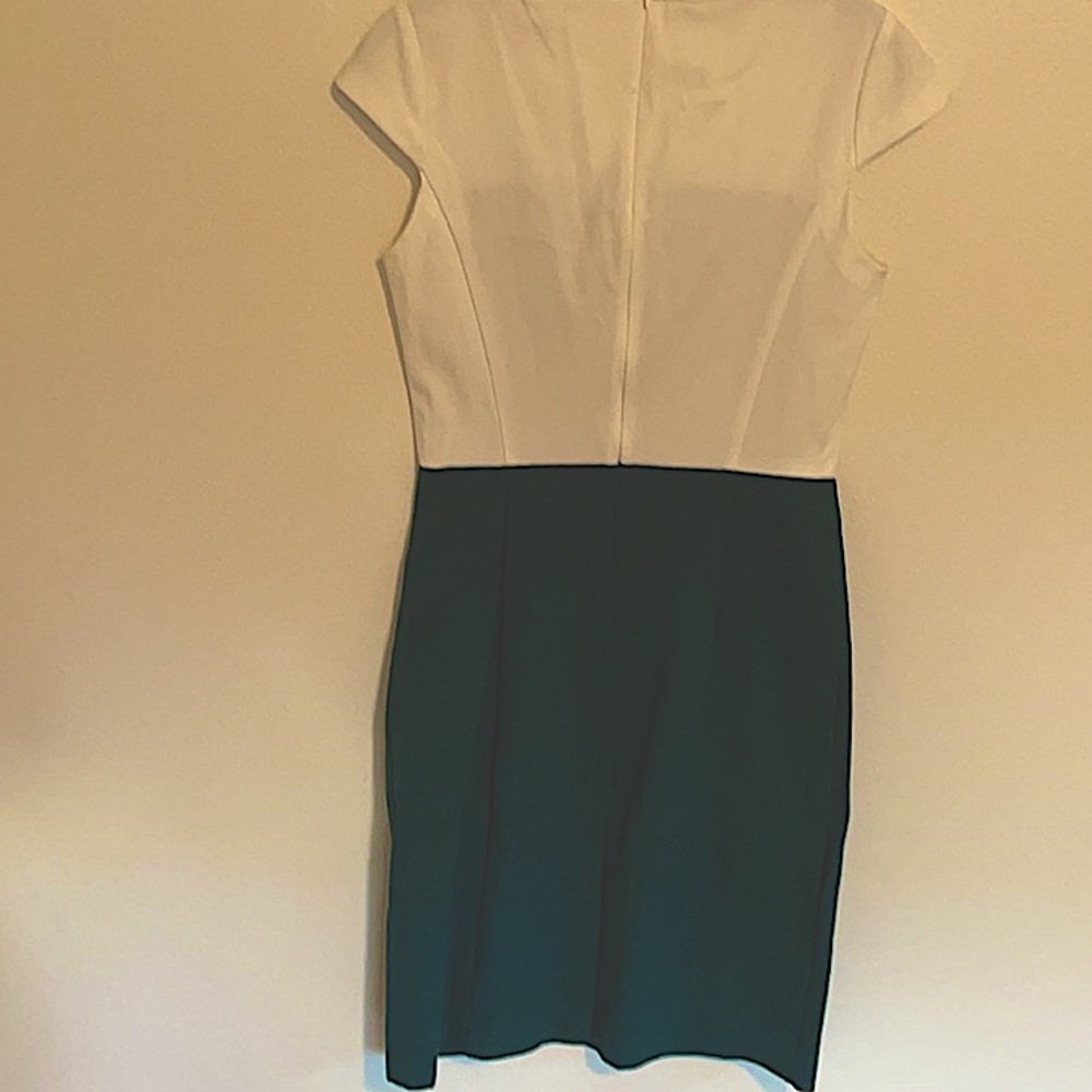 White & Green Theory Dress - Picture 4 of 5